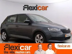 Gris Usado 2019 Skoda Fabia Active Berlina | 10.990 € (Precio justo)