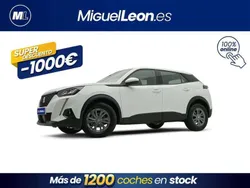 Blanco Usado 2021 Peugeot 2008 Active SUV | 13.985 € (Buen precio)