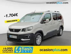 Gris Usado 2019 Peugeot Rifter Active Monovolumen | 18.750 € (Caro)