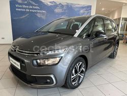 Gris / plata Usado 2020 Citroën C4 SpaceTourer Origins Monovolumen | 16.900 € (Caro)