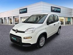 Blanco Usado 2023 Fiat Panda Comfort Utilitario | 12.990 € (Un poco caro)