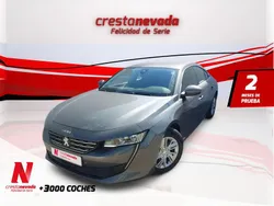 Usado 2021 Peugeot 508 Business-Line | 18.214 € (Precio justo)