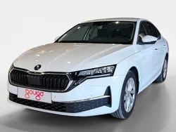 Blanco Usado 2024 Skoda Octavia Berlina | 30.900 € (Precio justo)