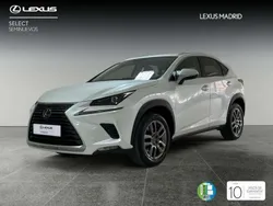 Blanco Usado 2020 Lexus NX300h Executive Line SUV | 28.990 € (Precio justo)