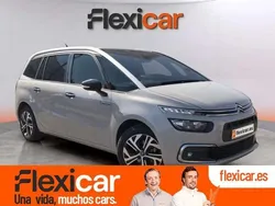 Beige Usado 2018 Citroën C4 Rip Curl Monovolumen | 13.990 € (Precio justo)