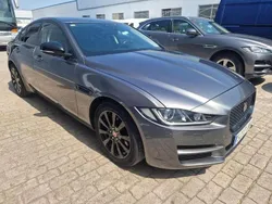 Gris Usado 2016 Jaguar XE Pure Berlina | 9500 € (Super precio)