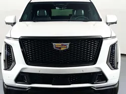 Blanco Usado 2025 Cadillac Escalade SUV | 277.000 €