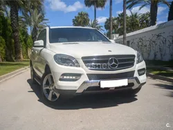 Mercedes ML250