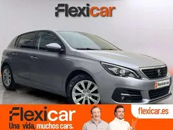 Gris Usado 2020 Peugeot 308 Access Utilitario | 10.790 € (Precio justo)