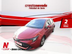 Usado 2021 Toyota Corolla Business Edition | 16.813 € (Precio justo)