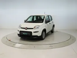 Blanco Usado 2024 Fiat Panda Utilitario | 13.500 € (Precio justo)