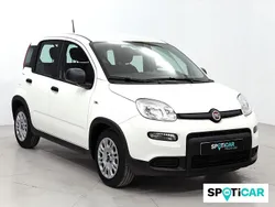 Blanco Usado 2023 Fiat Panda Tech Utilitario | 13.950 € (Precio justo)