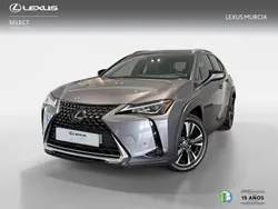 Gris Usado 2021 Lexus UX 250h SUV | 26.900 € (Un poco caro)