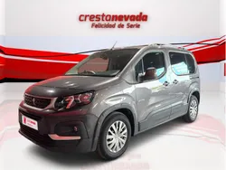 Usado 2019 Peugeot Rifter Active Monovolumen | 14.009 € (Buen precio)