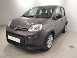 Gris Usado 2024 Fiat Panda Utilitario | 13.460 € (Un poco caro)