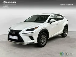 Blanco Usado 2018 Lexus NX300h Business Edition SUV | 30.250 €
