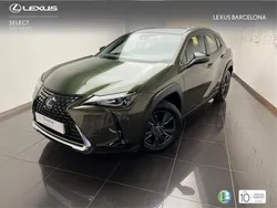 Verde Usado 2021 Lexus UX Business Edition SUV | 27.900 € (Buen precio)