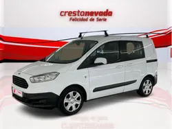Usado 2018 Ford Transit Trend Familiar | 12.140 € (Caro)