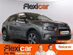 Gris Usado 2019 Citroën C4 Cactus Feel Utilitario | 12.490 € (Un poco caro)