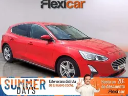 Rojo Usado 2019 Ford Focus Active Utilitario | 12.490 € (Buen precio)