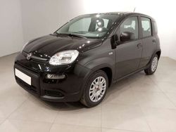 Negro Usado 2024 Fiat Panda Utilitario | 11.800 € (Precio justo)
