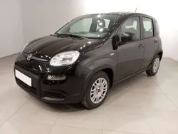Negro Nuevo 2024 Fiat Panda Utilitario | 11.800 € (Super precio)