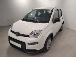 Blanco Nuevo 2024 Fiat Panda Utilitario | 16.370 € (Precio justo)