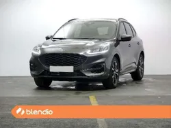 Gris Usado 2023 Ford Kuga ST-Line X SUV | 24.559 € (Precio justo)