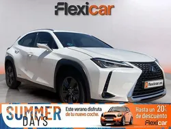 Blanco Usado 2022 Lexus UX Business Edition SUV | 29.490 € (Caro)
