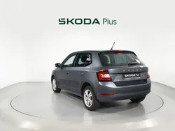Gris Usado 2020 Skoda Fabia Ambition Berlina | 14.600 € (Un poco caro)