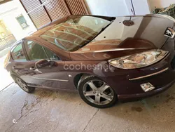 Granate Usado 2005 Peugeot 407 Berlina | 2500 € (Super precio)