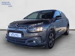 Gris / plata Usado 2020 Citroën C4 Cactus Feel Utilitario | 11.990 € (Precio justo)