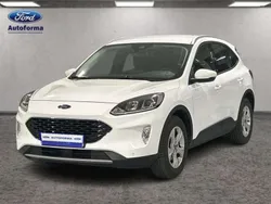 Blanco Usado 2022 Ford Kuga Trend SUV | 25.100 € (Un poco caro)