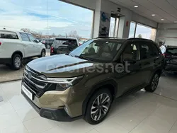 Verde Nuevo 2025 Subaru Forester SUV | 46.250 € (Un poco caro)