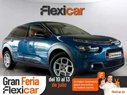 Azul Usado 2019 Citroën C4 Cactus Feel Utilitario | 8990 € (Precio justo)