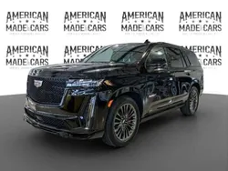 Negro Nuevo 2024 Cadillac Escalade SUV | 198.500 €