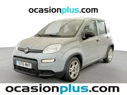 Gris Usado 2023 Fiat Panda Utilitario | 10.000 € (Precio justo)