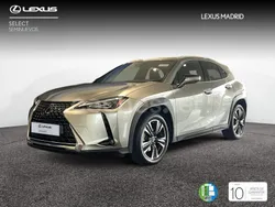 Gris Usado 2020 Lexus UX Executive Line SUV | 27.990 € (Un poco caro)