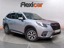 Gris Usado 2023 Subaru Forester SUV | 22.590 € (Buen precio)