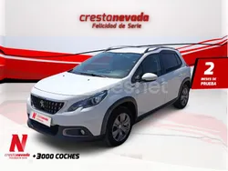 Blanco Usado 2019 Peugeot 2008 Signature Sky SUV | 13.990 € (Buen precio)