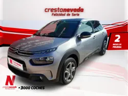 Gris Usado 2020 Citroën C4 Cactus Feel Utilitario | 13.074 € (Precio justo)
