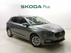 Gris Usado 2024 Skoda Fabia Selection Berlina | 16.900 € (Un poco caro)