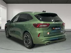 Verde Usado 2024 Ford Kuga ST-Line X SUV | 30.791 € (Precio justo)