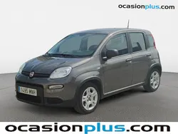 Gris Usado 2024 Fiat Panda Utilitario | 11.546 € (Precio justo)