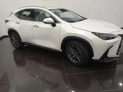 Blanco Usado 2023 Lexus NX350h Business Edition SUV | 47.900 € (Precio justo)