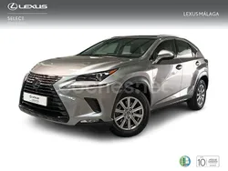 Gris Usado 2019 Lexus NX300h Business Edition SUV | 32.900 € (Caro)