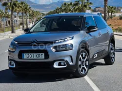 Gris / plata Usado 2019 Citroën C4 Cactus Feel Utilitario | 8900 € (Precio justo)