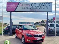 Rojo Usado 2014 Skoda Fabia Utilitario | 4900 € (Caro)