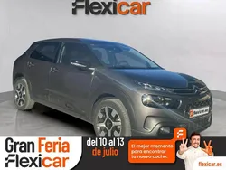 Gris Usado 2019 Citroën C4 Cactus PureTech Utilitario | 12.690 € (Precio justo)