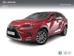 Rojo Usado 2018 Lexus NX300h Executive Line SUV | 32.900 € (Caro)